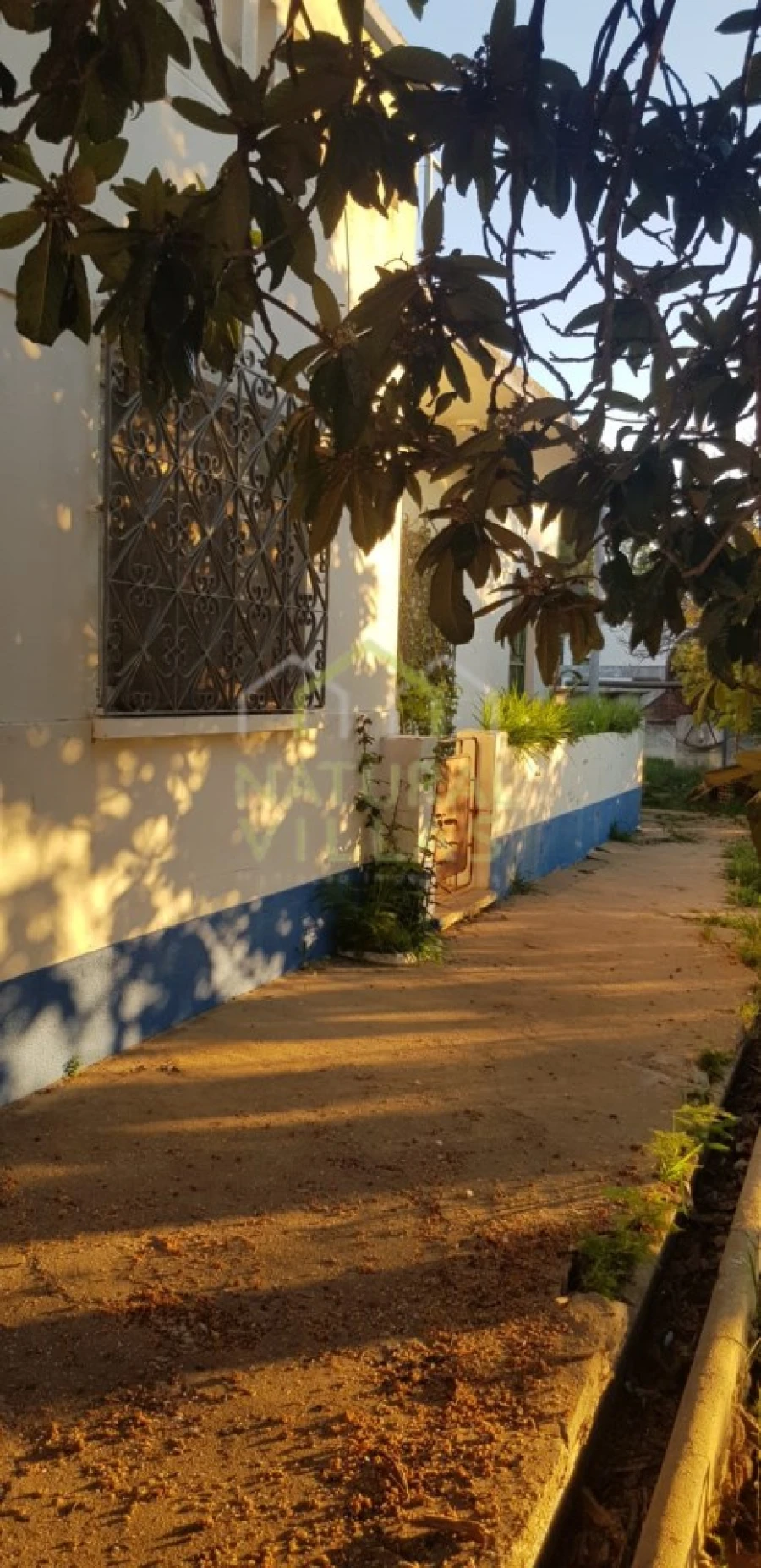 Quinta T2 para Venda em Pechão Foto 10