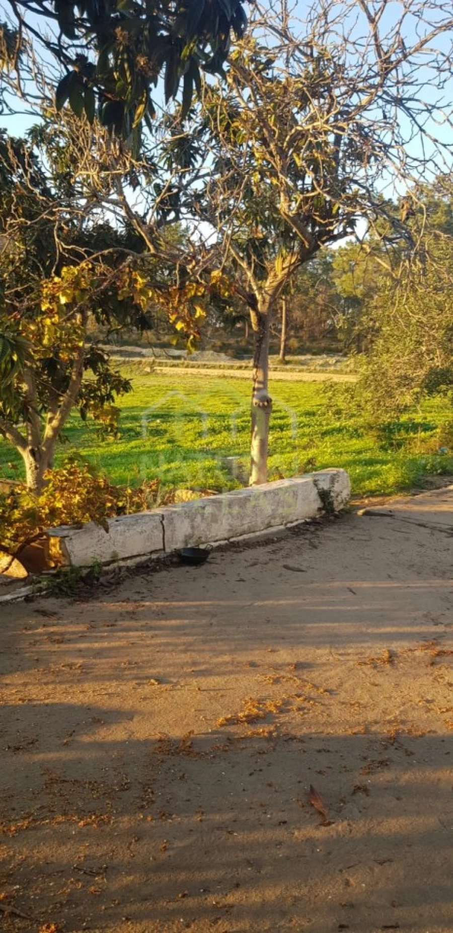 Quinta T2 para Venda em Pechão Foto 12
