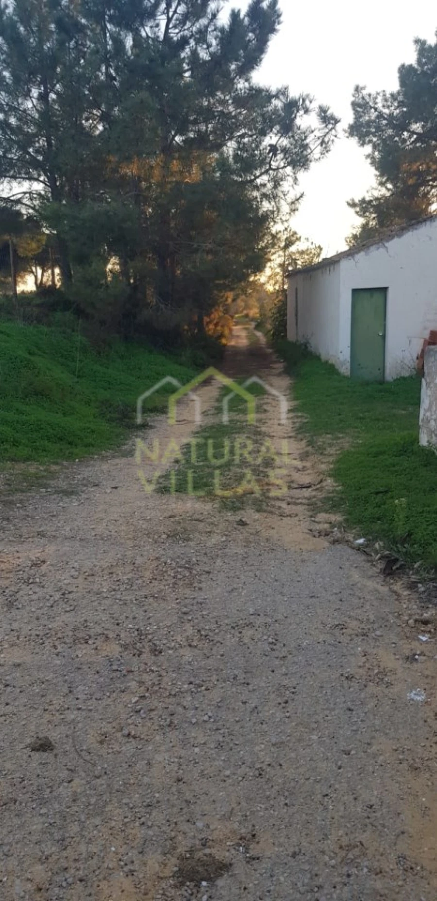 Quinta T2 para Venda em Pechão Foto 34
