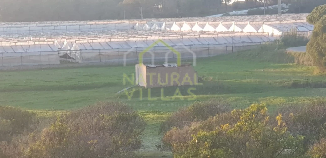 Quinta T2 para Venda em Pechão Foto 28