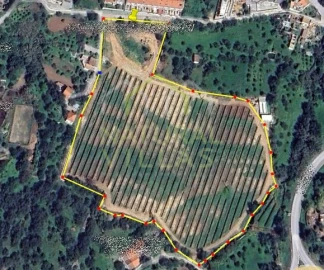 Terreno para Venda em São Brás de Alportel