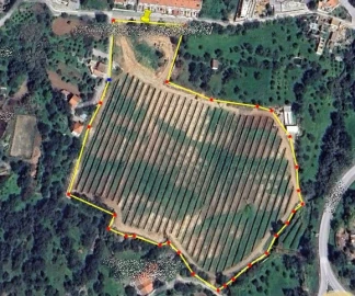 Terreno para Venda em São Brás de Alportel