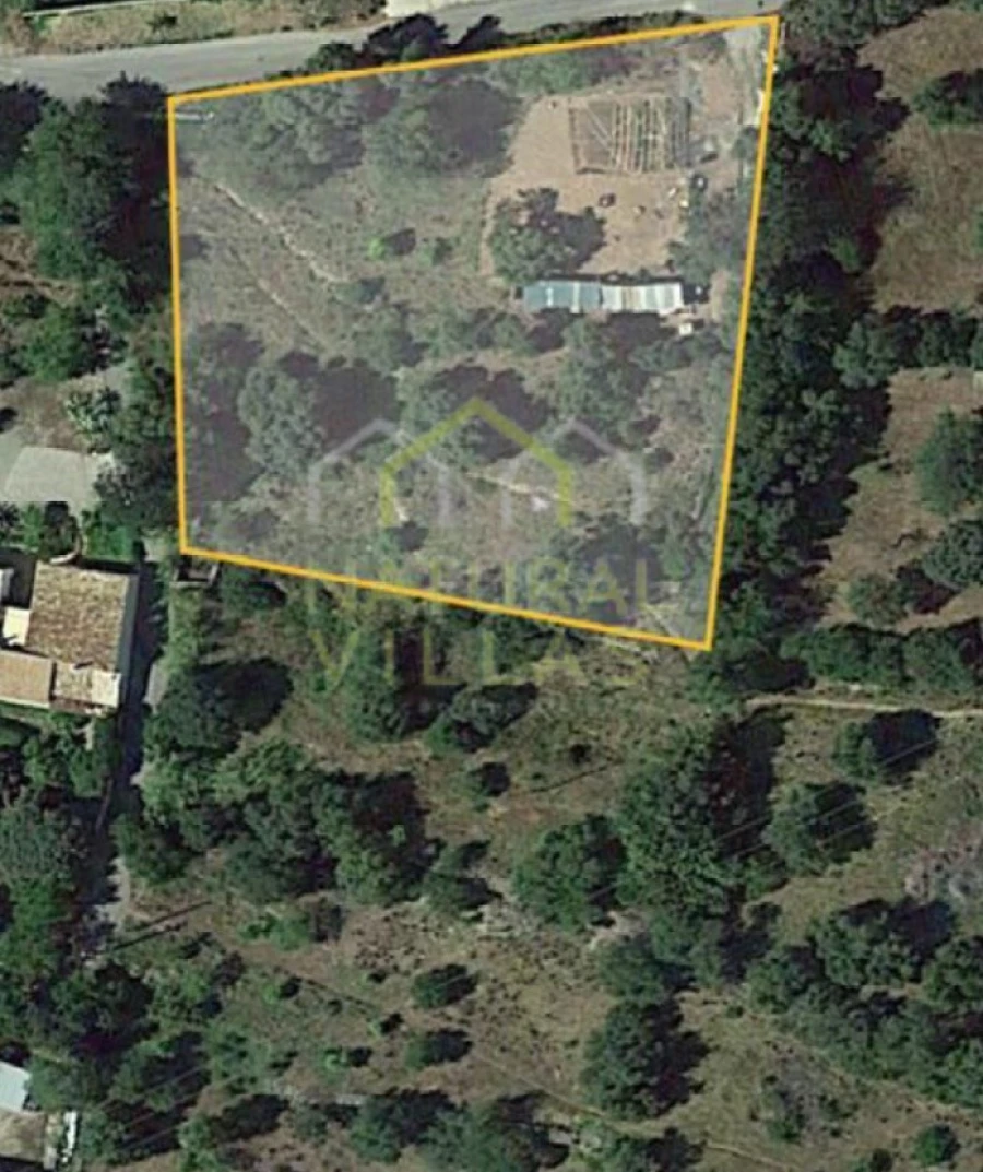 Terreno para Venda em São Brás de Alportel Foto 4