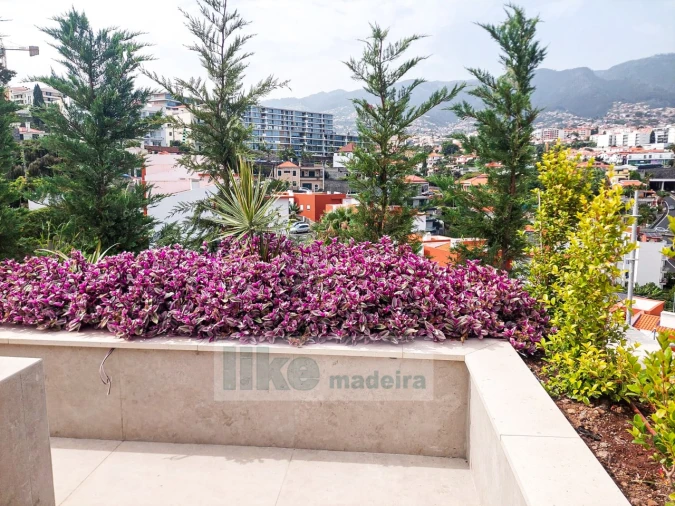 Apartamento T3 para Venda em São Martinho Foto 18