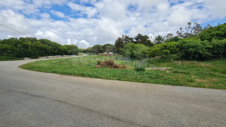 Terreno para Venda em Reguengo Grande Foto 3