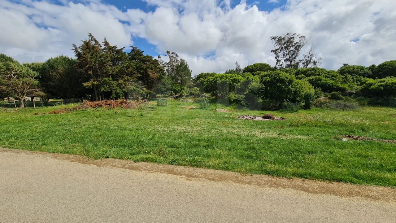 Terreno para Venda em Reguengo Grande Foto 4