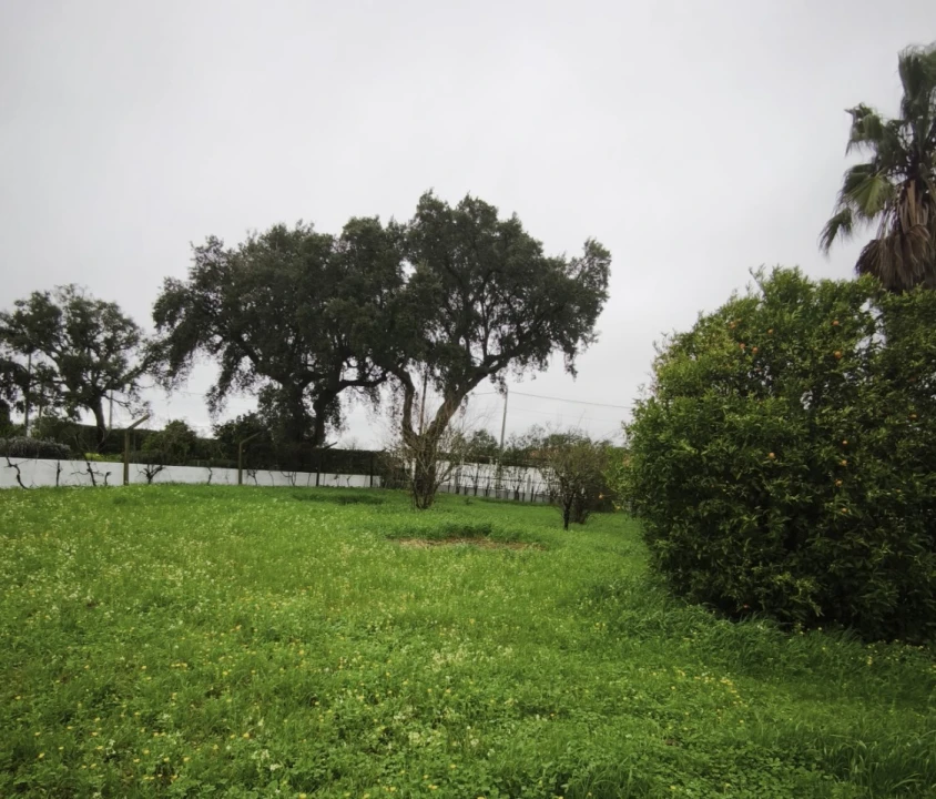 Moradia T3 para Venda em Glória do Ribatejo e Granho Foto 8
