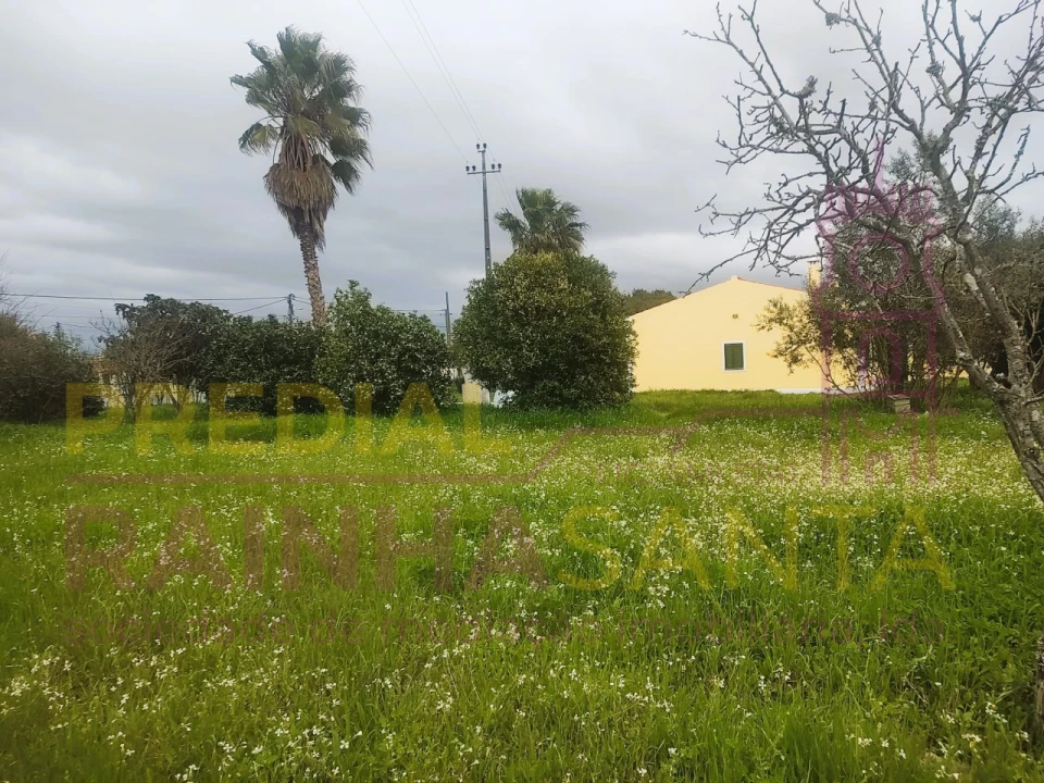Moradia T3 para Venda em Glória do Ribatejo e Granho Foto 29