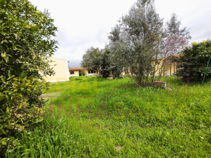 Moradia T3 para Venda em Glória do Ribatejo e Granho Foto 13