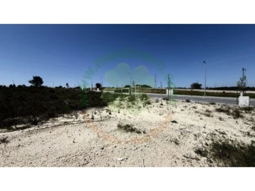Terreno para Venda em Amora