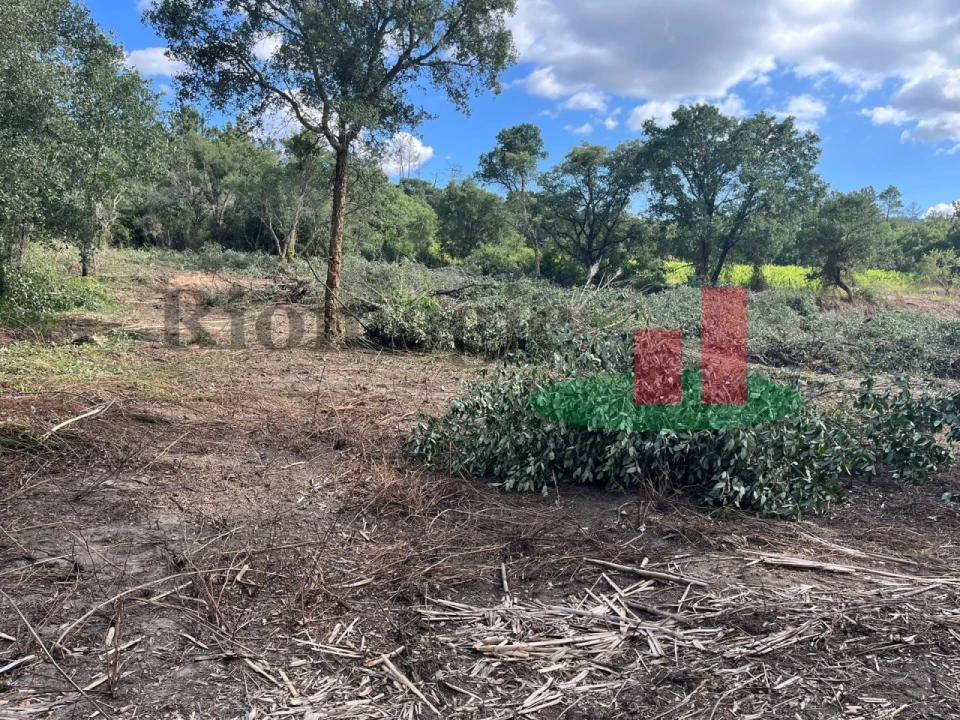 Terreno para Venda em Arrouquelas Foto 3