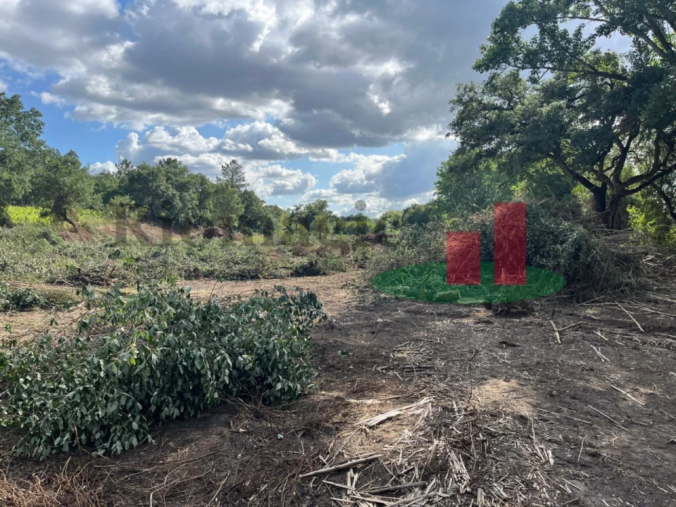 Terreno para Venda em Arrouquelas Foto 4