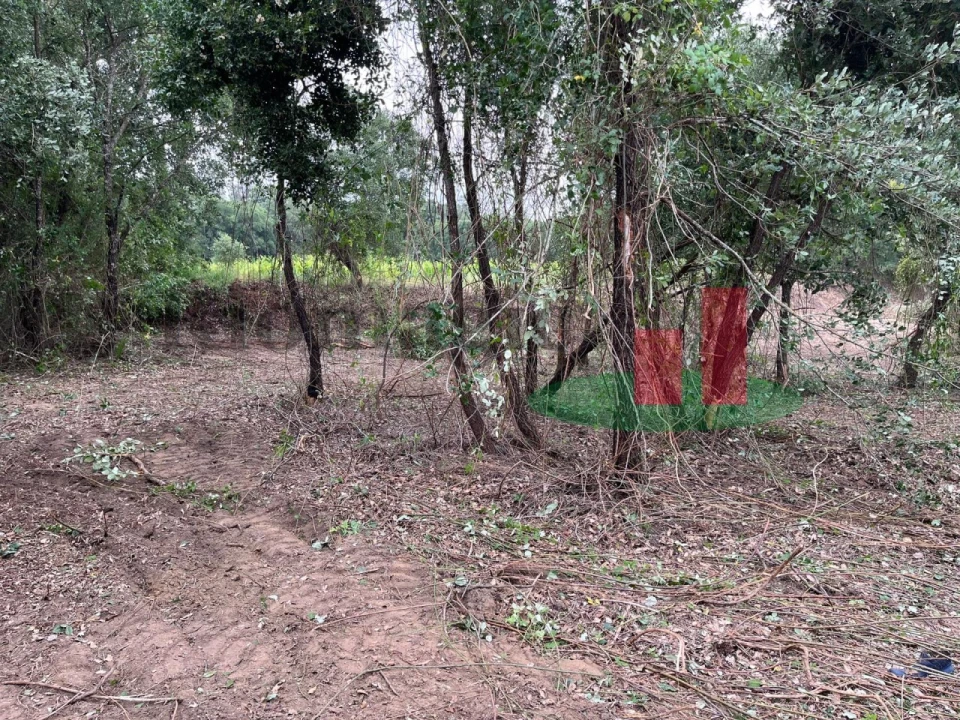 Terreno para Venda em Arrouquelas Foto 5