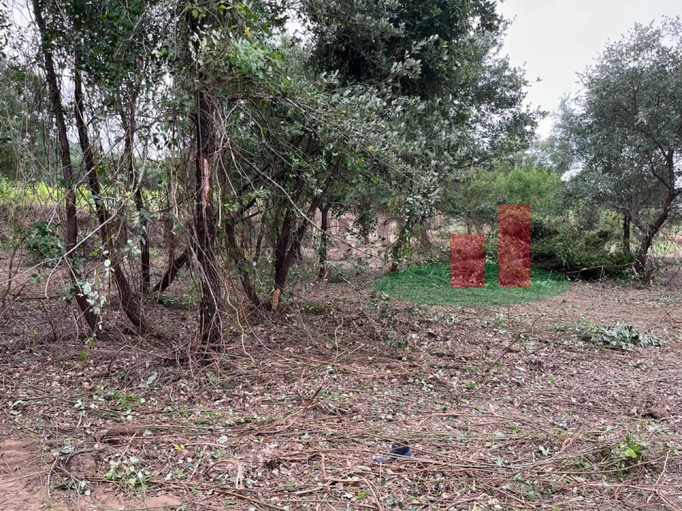 Terreno para Venda em Arrouquelas Foto 6