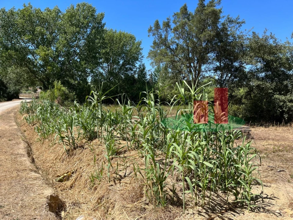 Terreno para Venda em Arrouquelas Foto 8