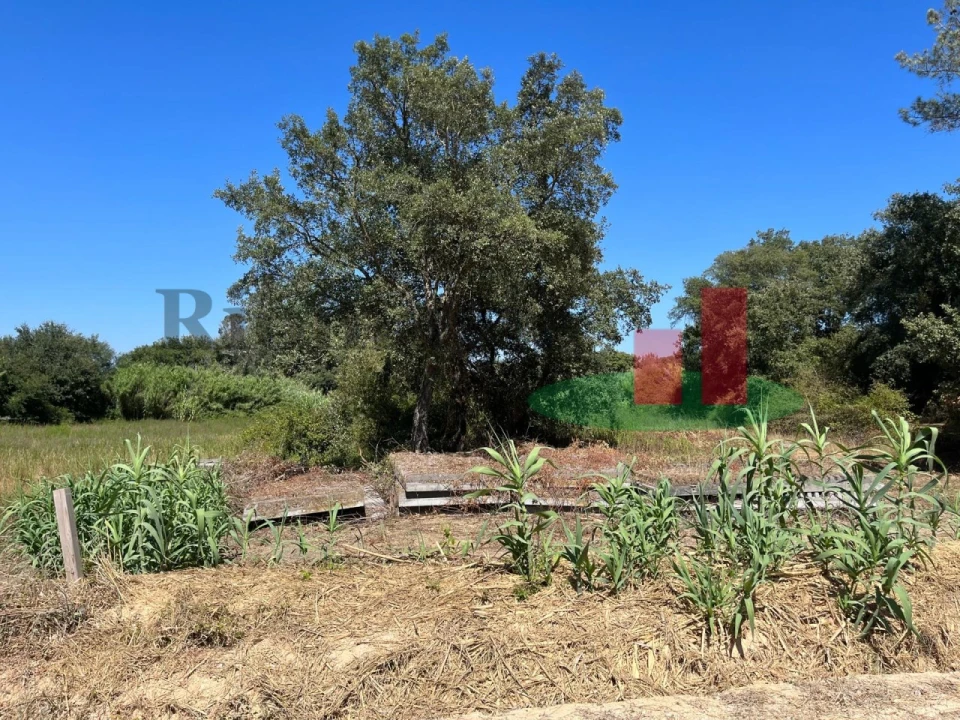 Terreno para Venda em Arrouquelas Foto 9