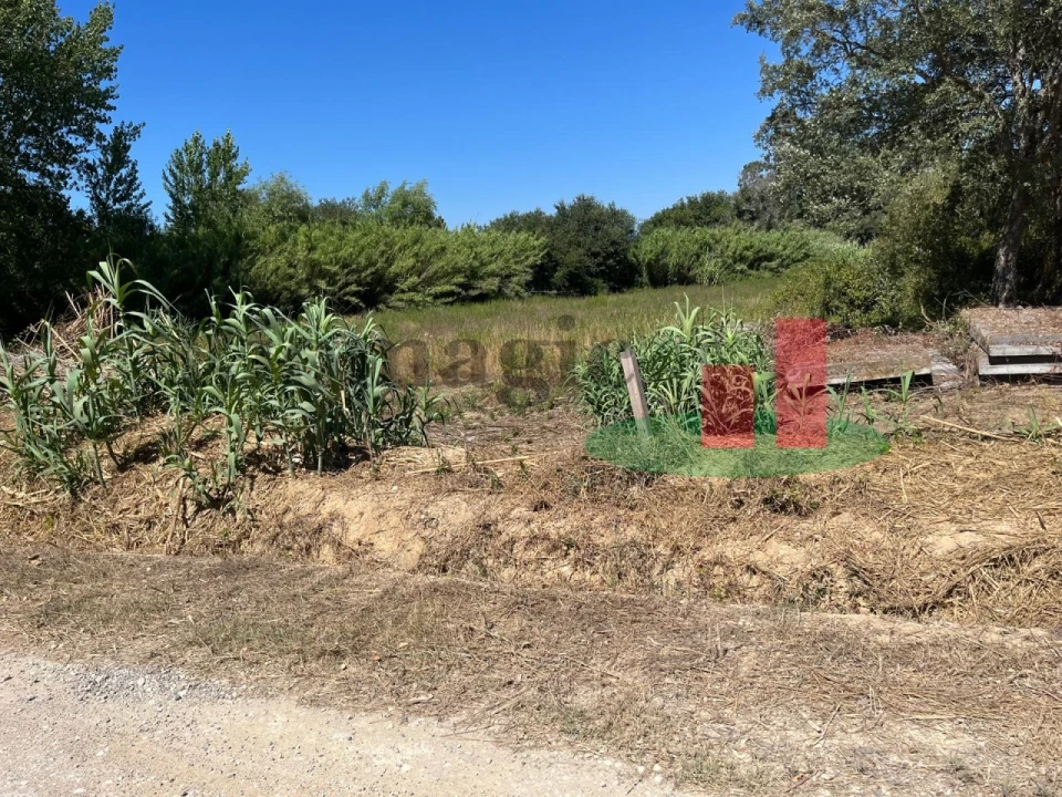Terreno para Venda em Arrouquelas Foto 11