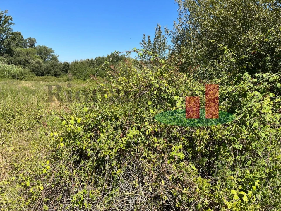 Terreno para Venda em Arrouquelas Foto 13