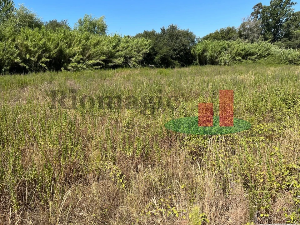 Terreno para Venda em Arrouquelas Foto 15