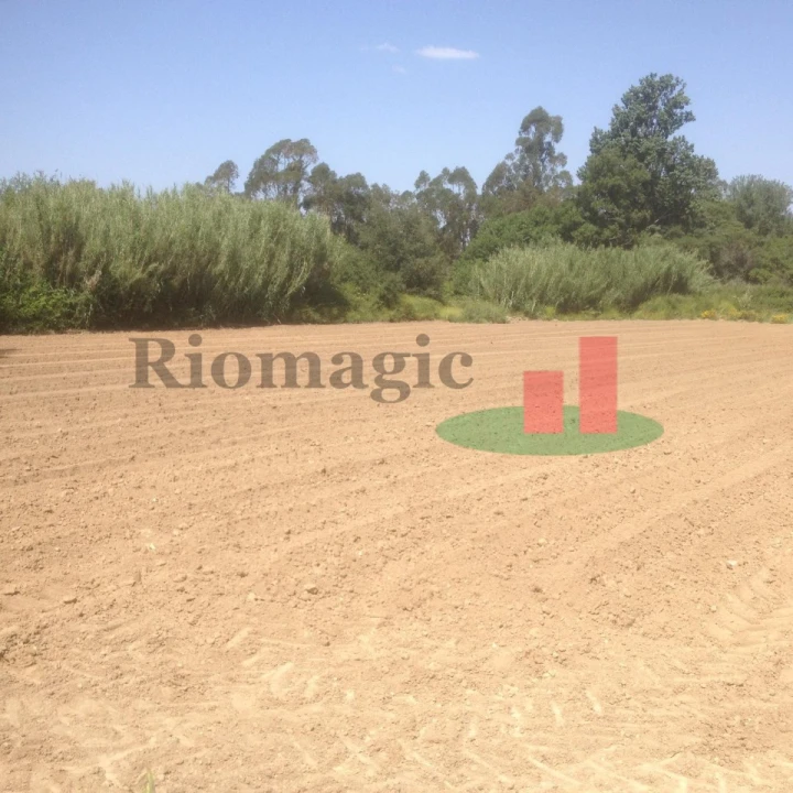 Terreno para Venda em Arrouquelas Foto 16