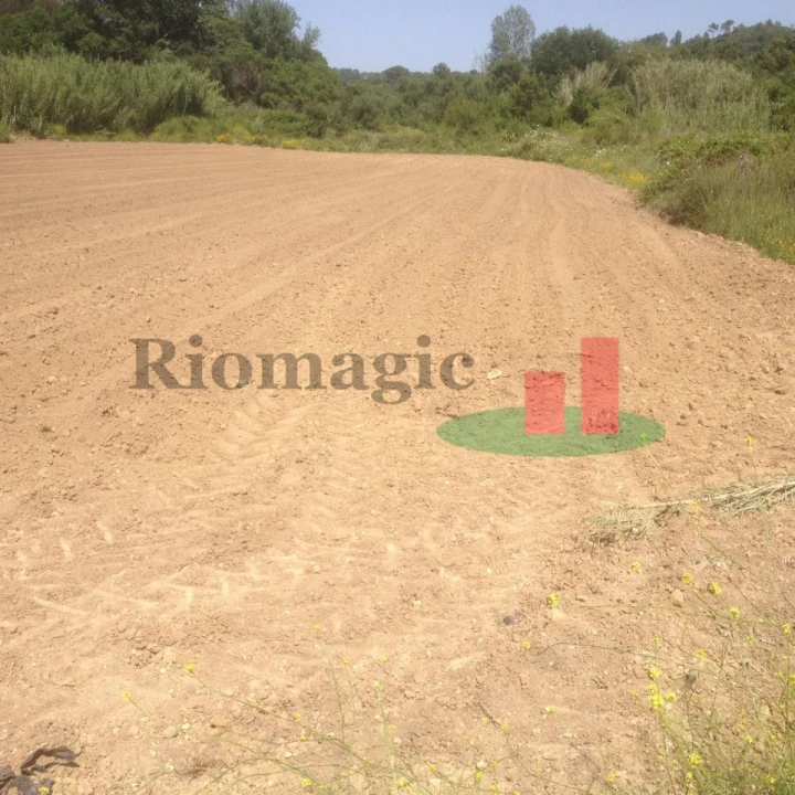 Terreno para Venda em Arrouquelas Foto 18
