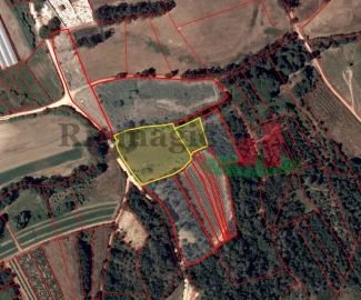 Terreno para Venda em Arrouquelas