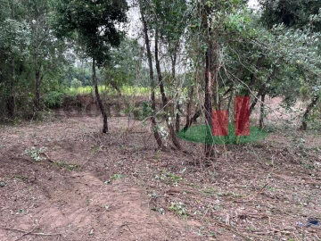 Terreno para Venda em Arrouquelas