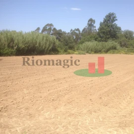 Terreno para Venda em Arrouquelas