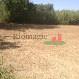 Terreno para Venda em Arrouquelas