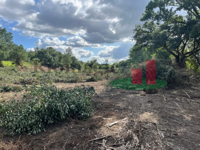 Terreno para Venda em Arrouquelas Foto 4