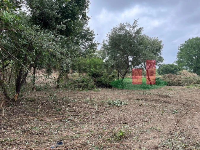 Terreno para Venda em Arrouquelas Foto 7