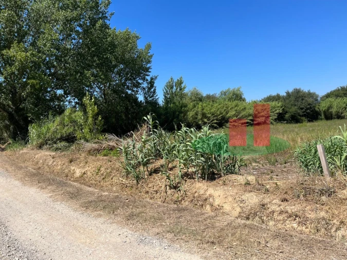 Terreno para Venda em Arrouquelas Foto 10