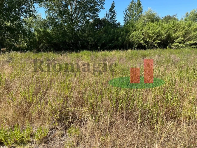Terreno para Venda em Arrouquelas Foto 14