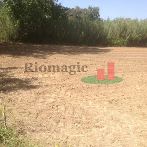 Terreno para Venda em Arrouquelas Foto 17
