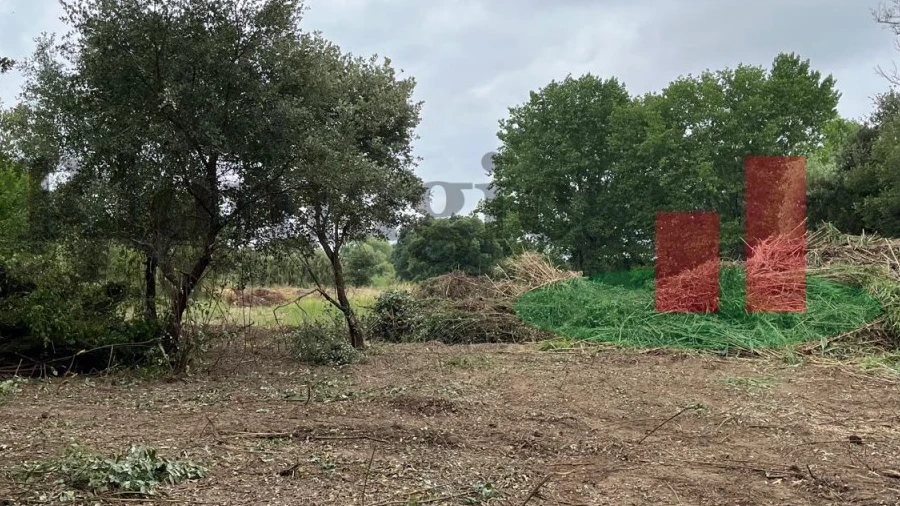 Terreno para Venda em Arrouquelas