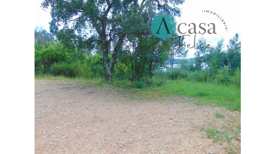 Terreno para Venda em Vila de Rei Foto 5