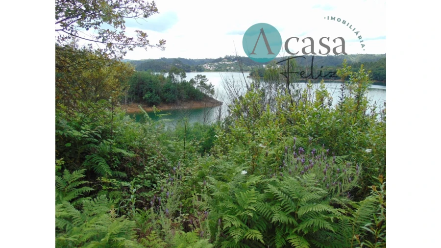 Terreno para Venda em Vila de Rei Foto 4