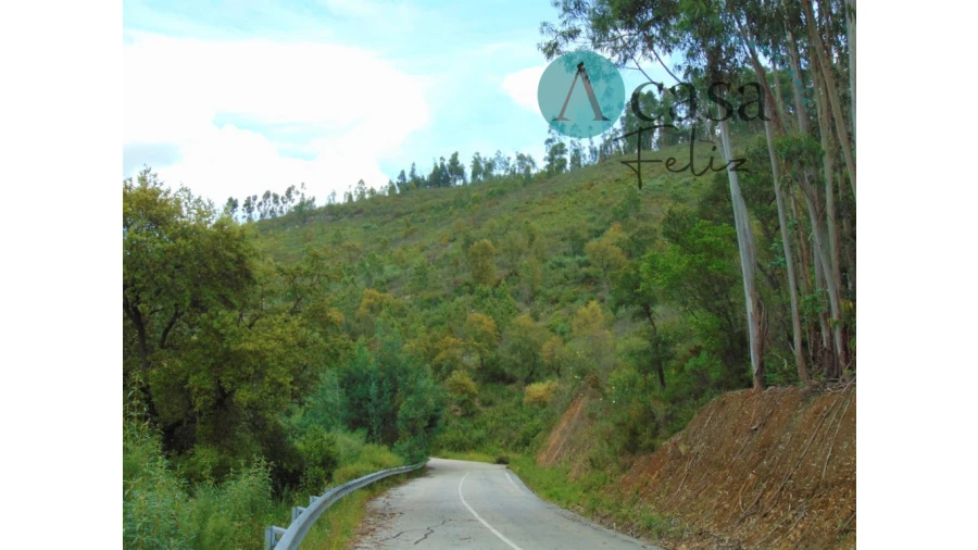 Terreno para Venda em Vila de Rei Foto 6