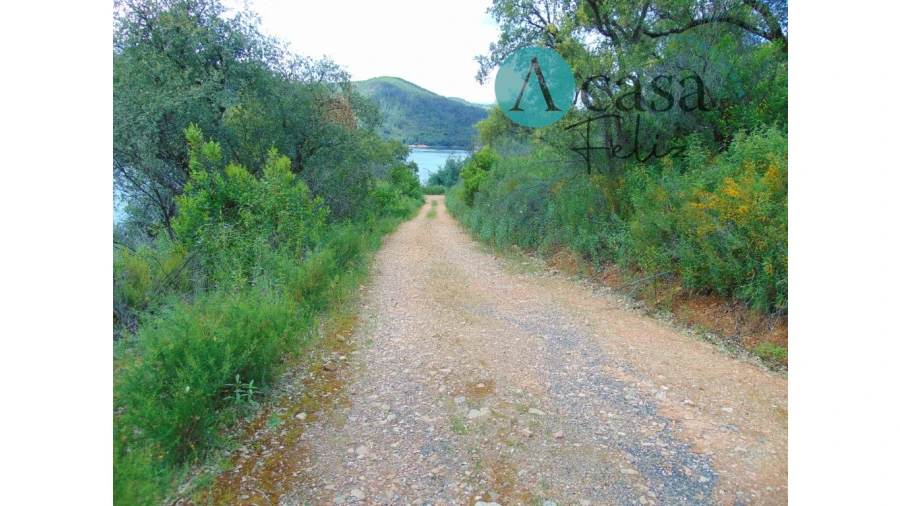 Terreno para Venda em Vila de Rei Foto 3