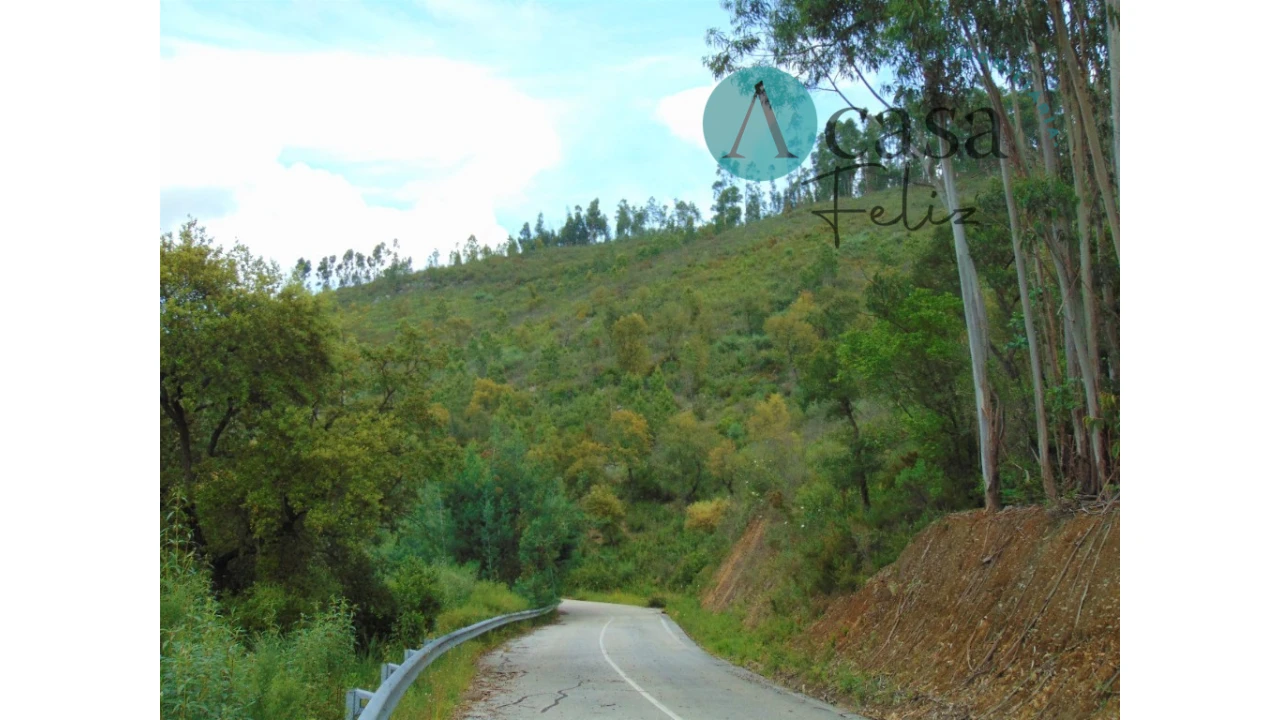 Terreno para Venda em Vila de Rei Foto 6