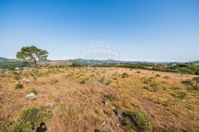 Armazém para Venda em Lousa