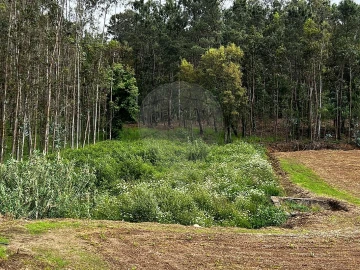 Terreno para Venda em Arrifana