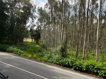 Terreno para Venda em Arrifana