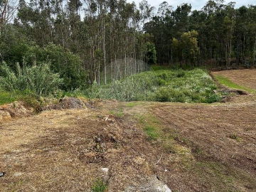 Terreno para Venda em Arrifana