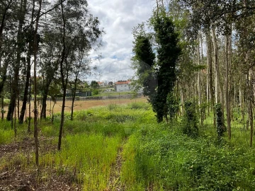 Terreno para Venda em Arrifana