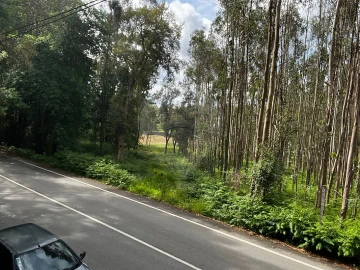 Terreno para Venda em Arrifana