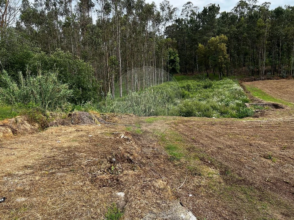 Terreno para Venda em Arrifana Foto 7