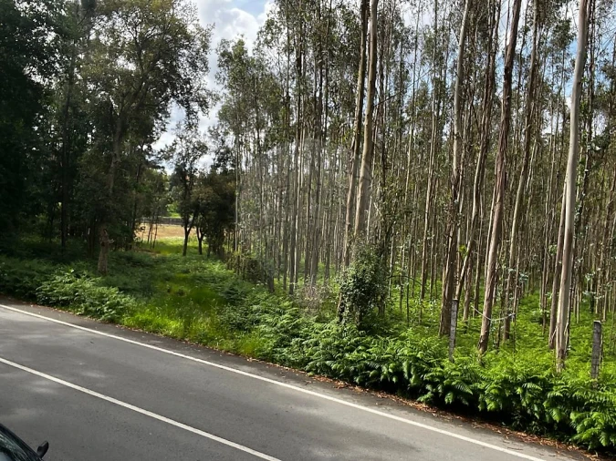 Terreno para Venda em Arrifana Foto 3