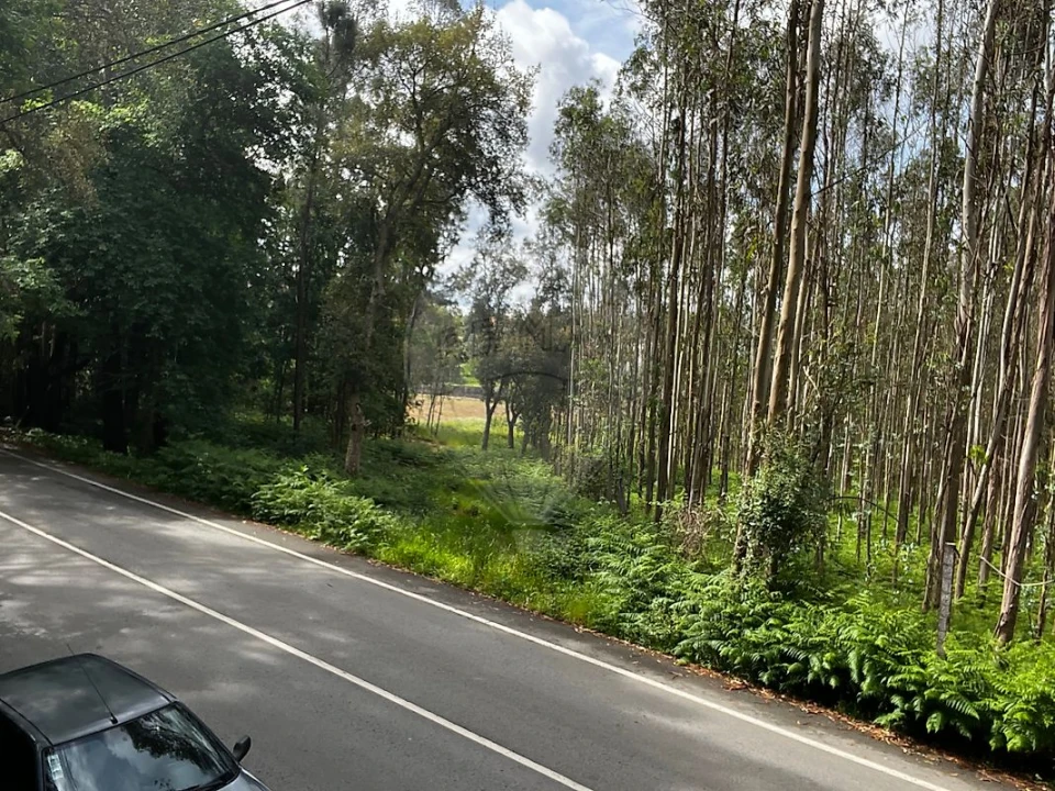Terreno para Venda em Arrifana Foto 2