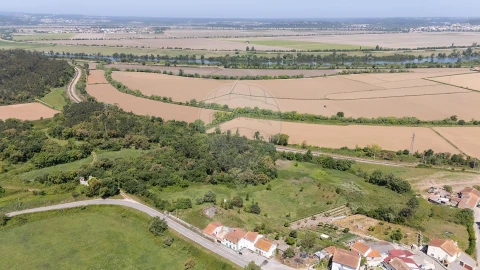 Terreno para Venda em Abrunheira, Verride e Vila Nova da Barca